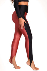 Evelin bicolor cavallerizza